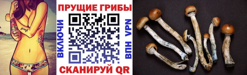 что такое   Шарья  Псилоцибиновые грибы ЛСД 